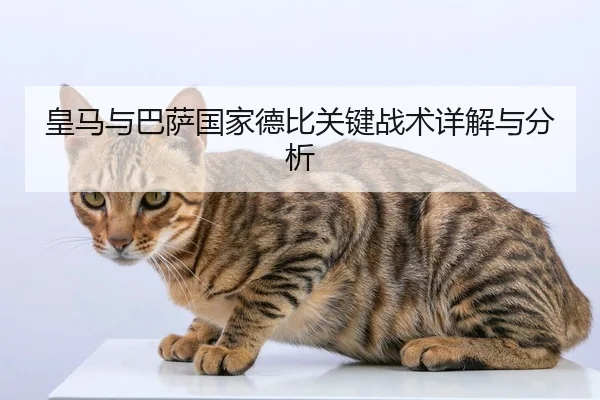 huang-ma-yu-ba-sa-guo-jia-de-bi-guan-jian-zhan-shu-xiang-jie-yu-fen-xi-1-402.jpg